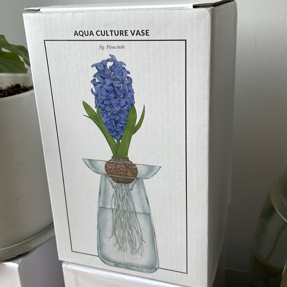 KINTO Aqua Culture CLEAR GLASS Vase 5 inch KINTO glass vase for propogating